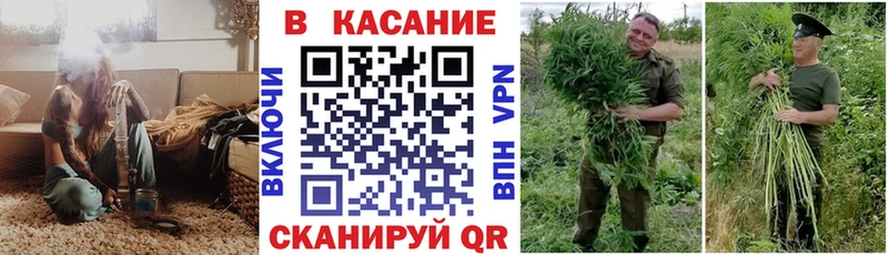 Купить закладку NBOMe  Кокаин  Гашиш  Галлюциногенные грибы  Меф  Канабис  Томмот