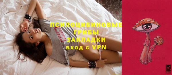 кристаллы Ельня