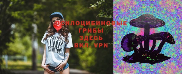 кристаллы Ельня